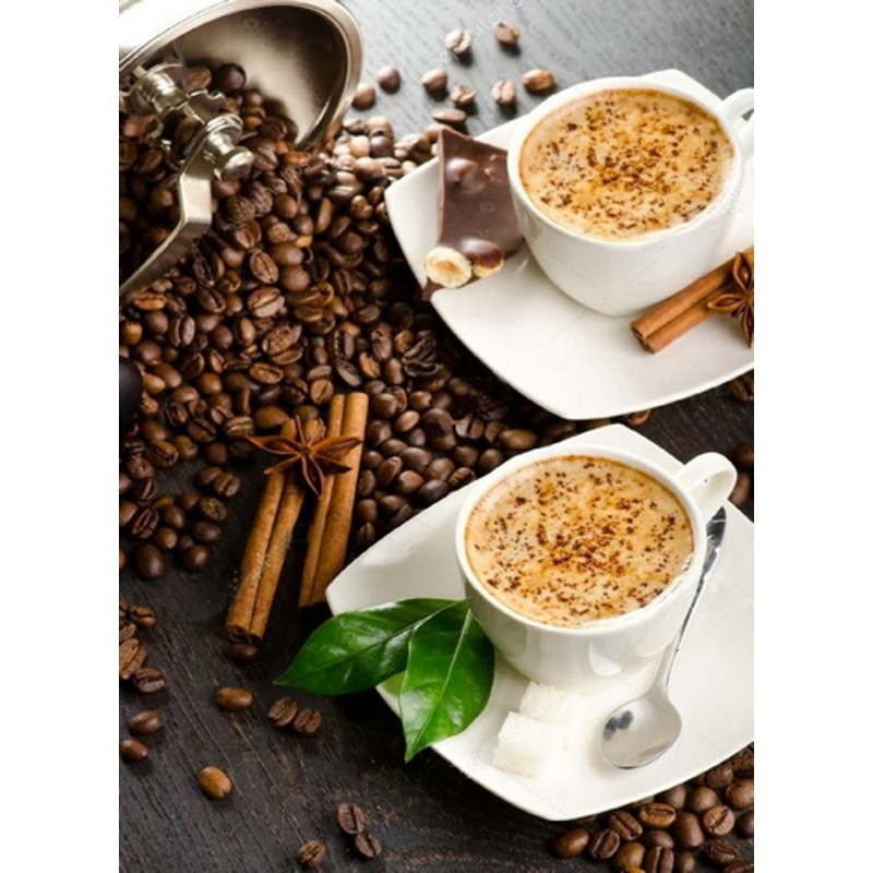 Diamond mosaic Meeting for coffee without a subframe 50x65 cm (SGK85901)