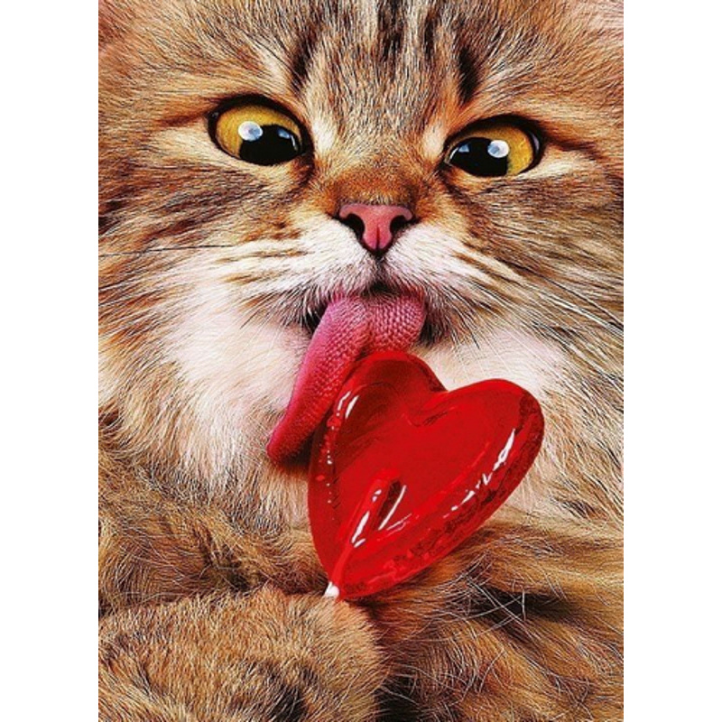 Diamond mosaic Cat with a lollipop without a subframe 50x65 cm (SGK86073)
