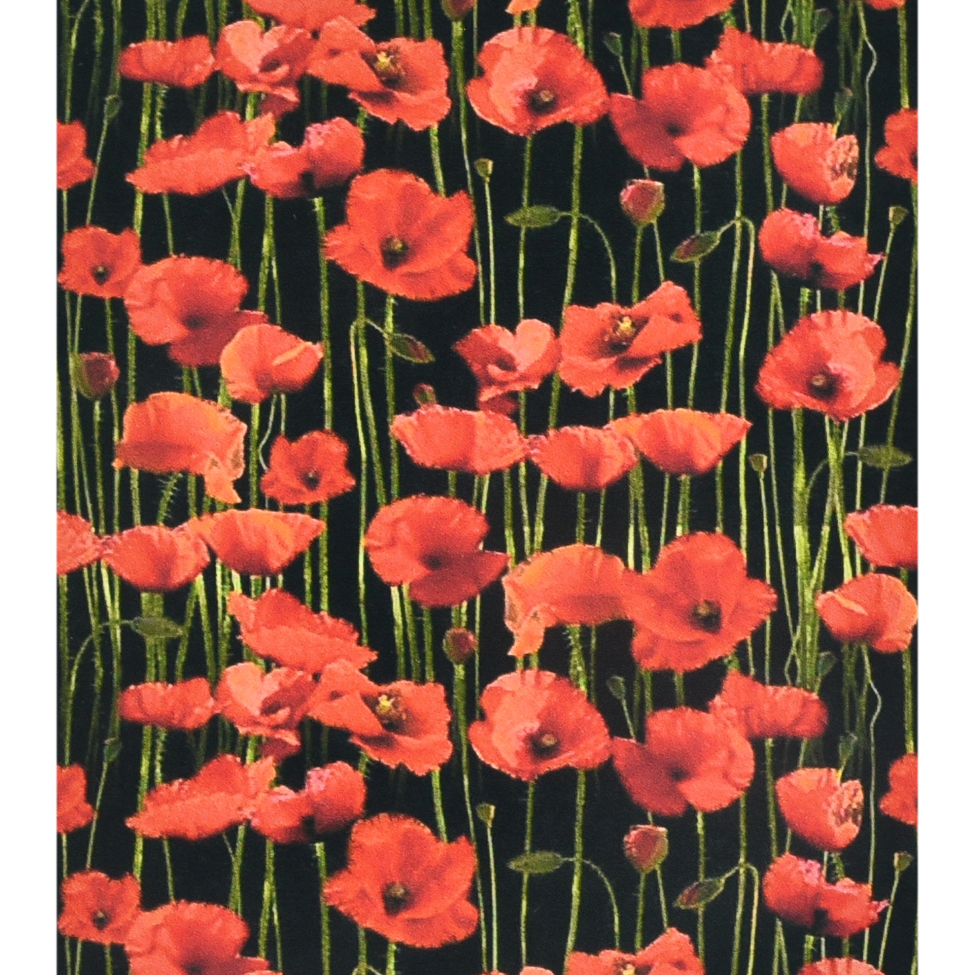 Poppy field size 40x50 cm (SK86881)