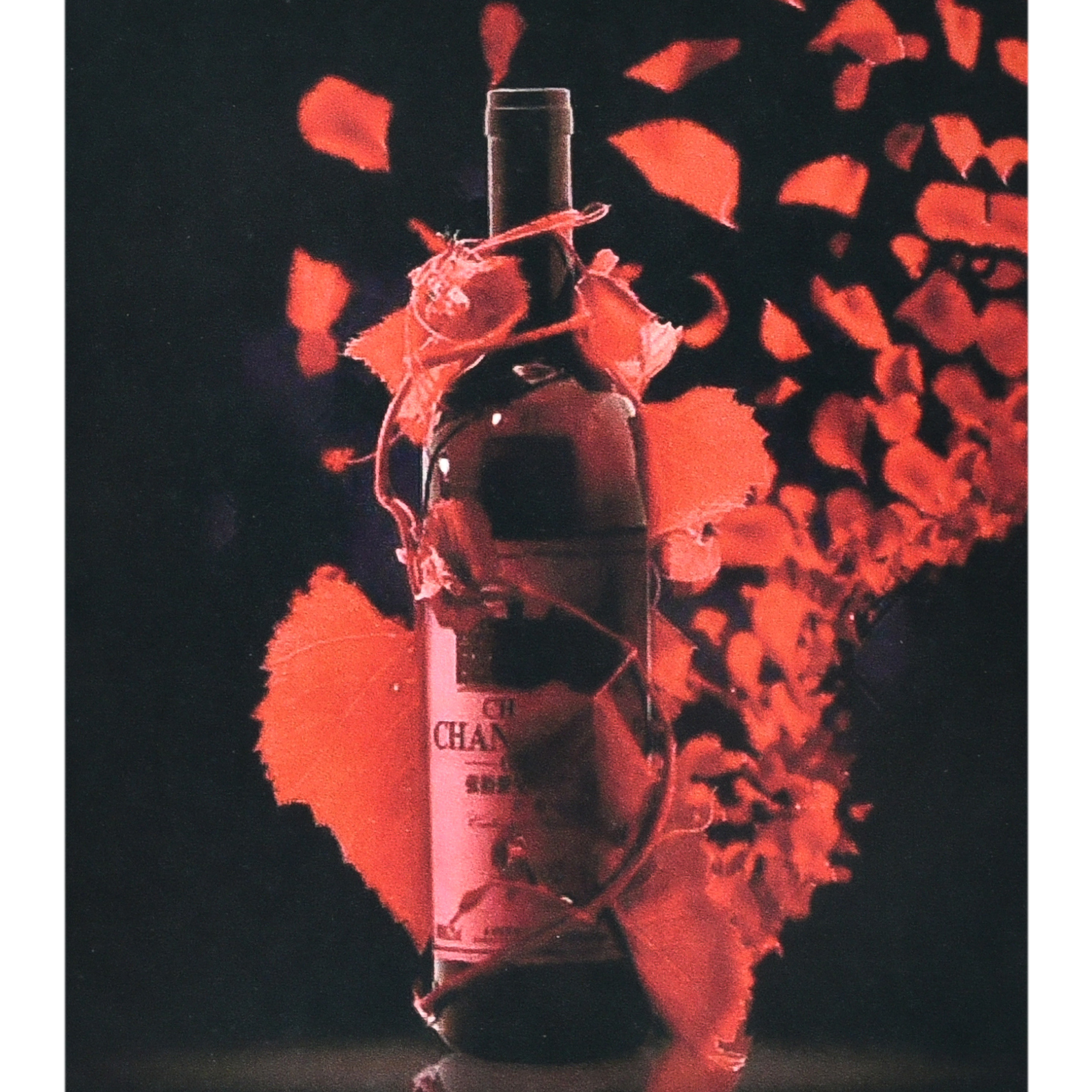 Red wine size 40x50 cm (SK88220)