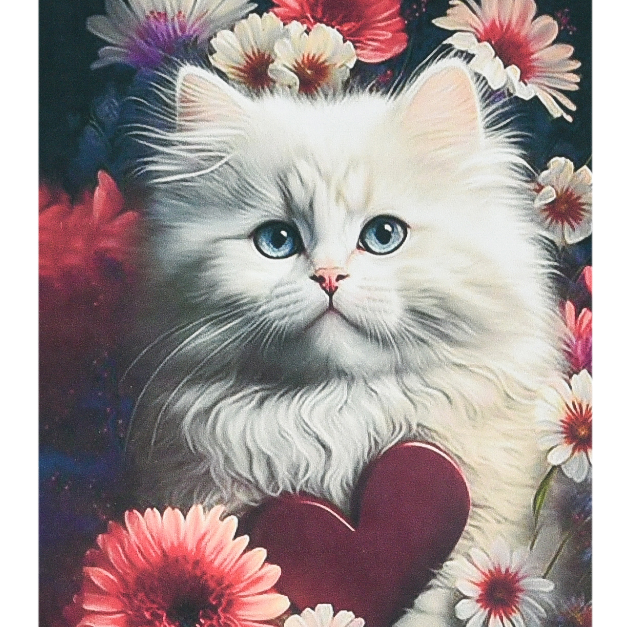Cat's heart size 40x50 cm (SK88233)