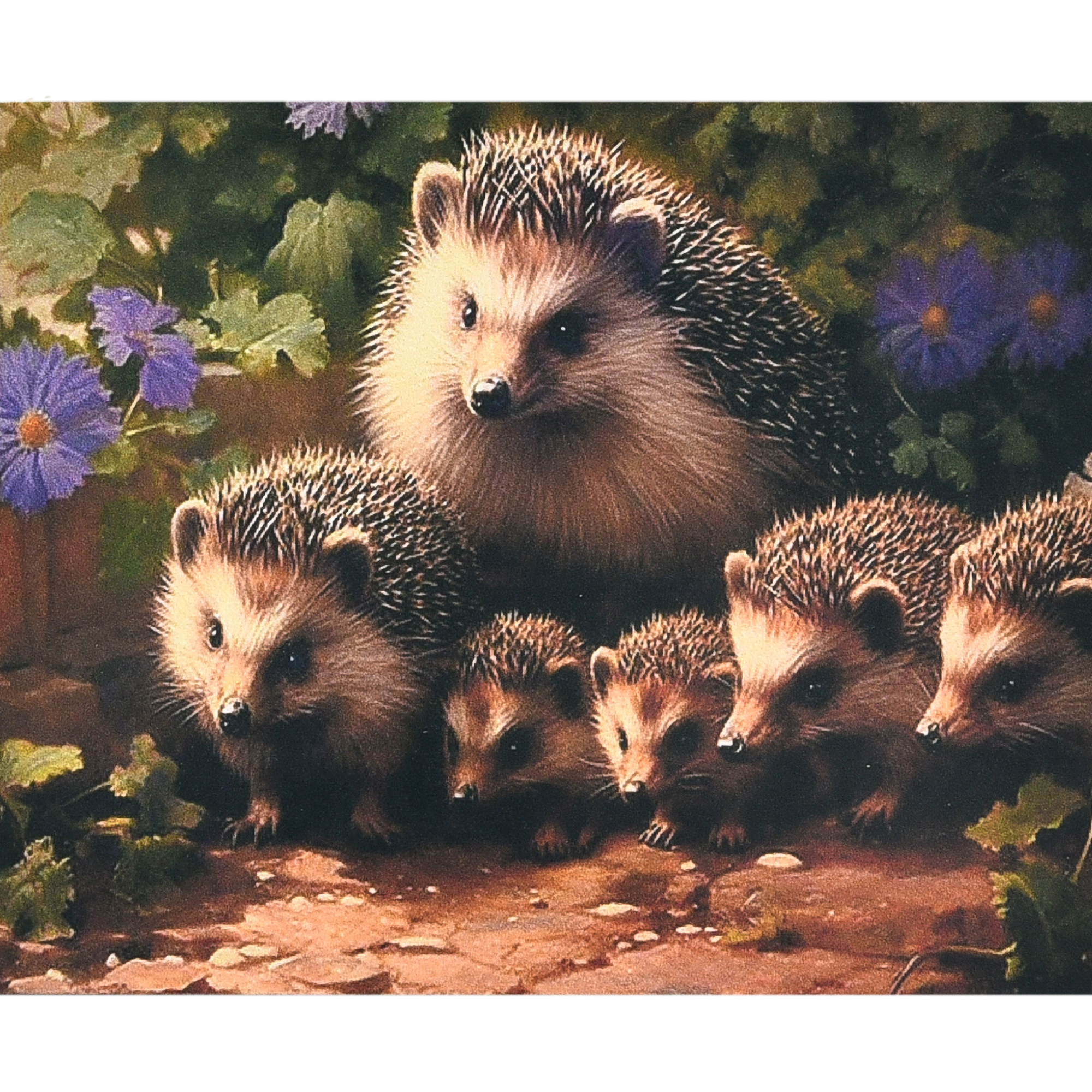 Hedgehog family size 40x50 cm (SK88256)