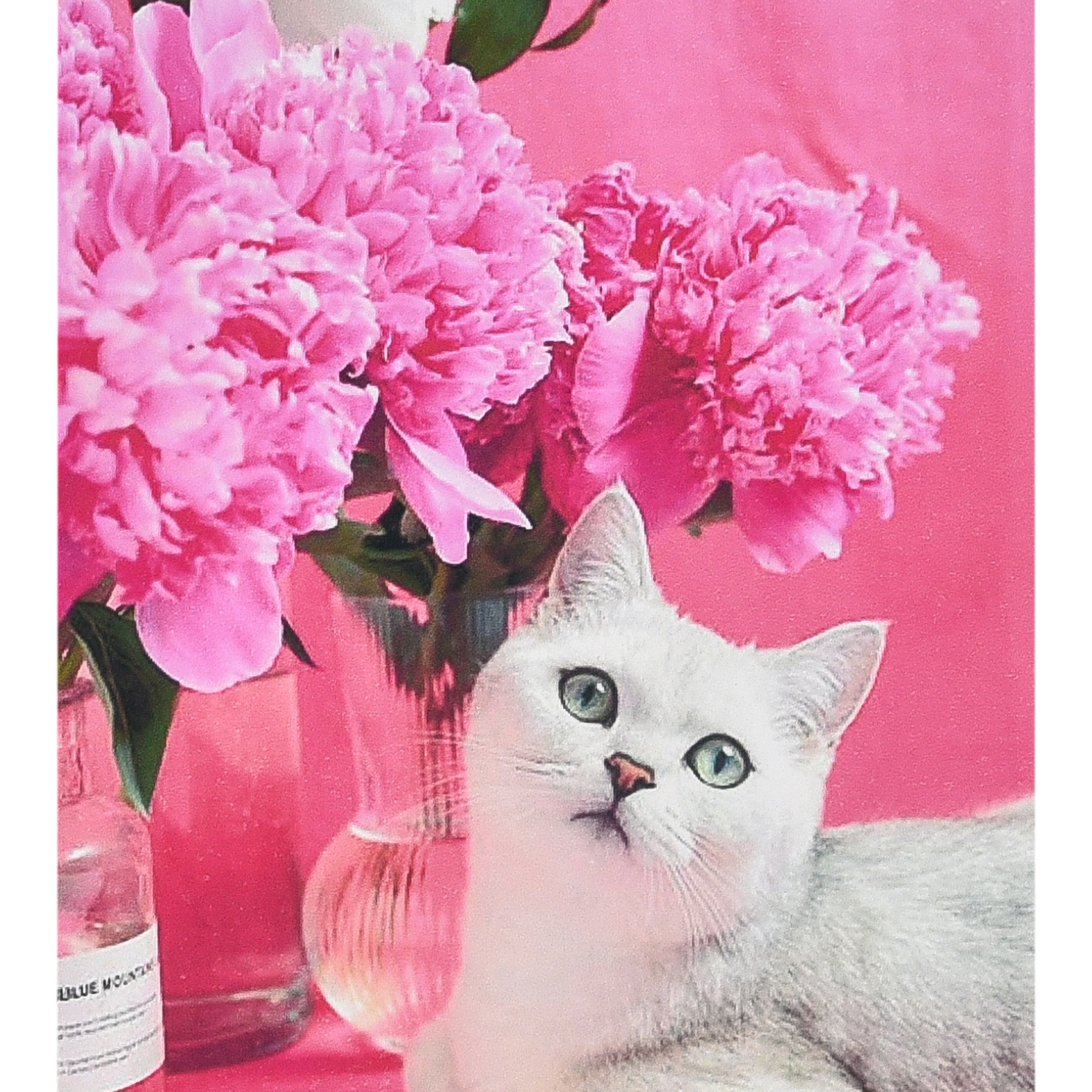 Tenderness in pink size 40x50 cm (SK88274)