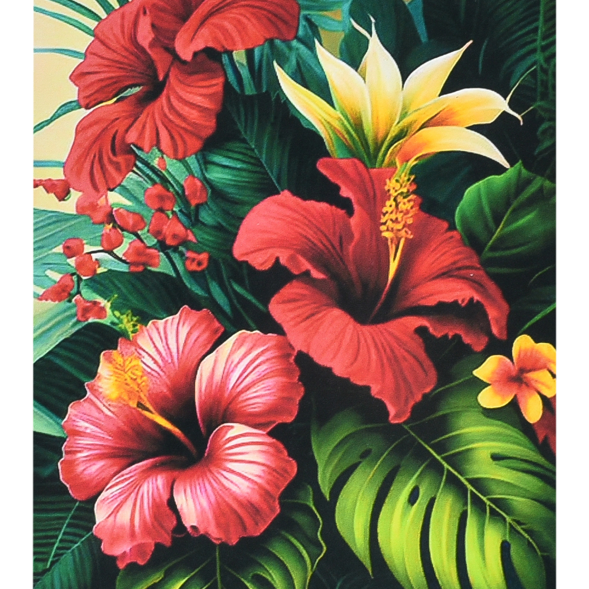 Tropical harmony size 40x50 cm (SK88294)