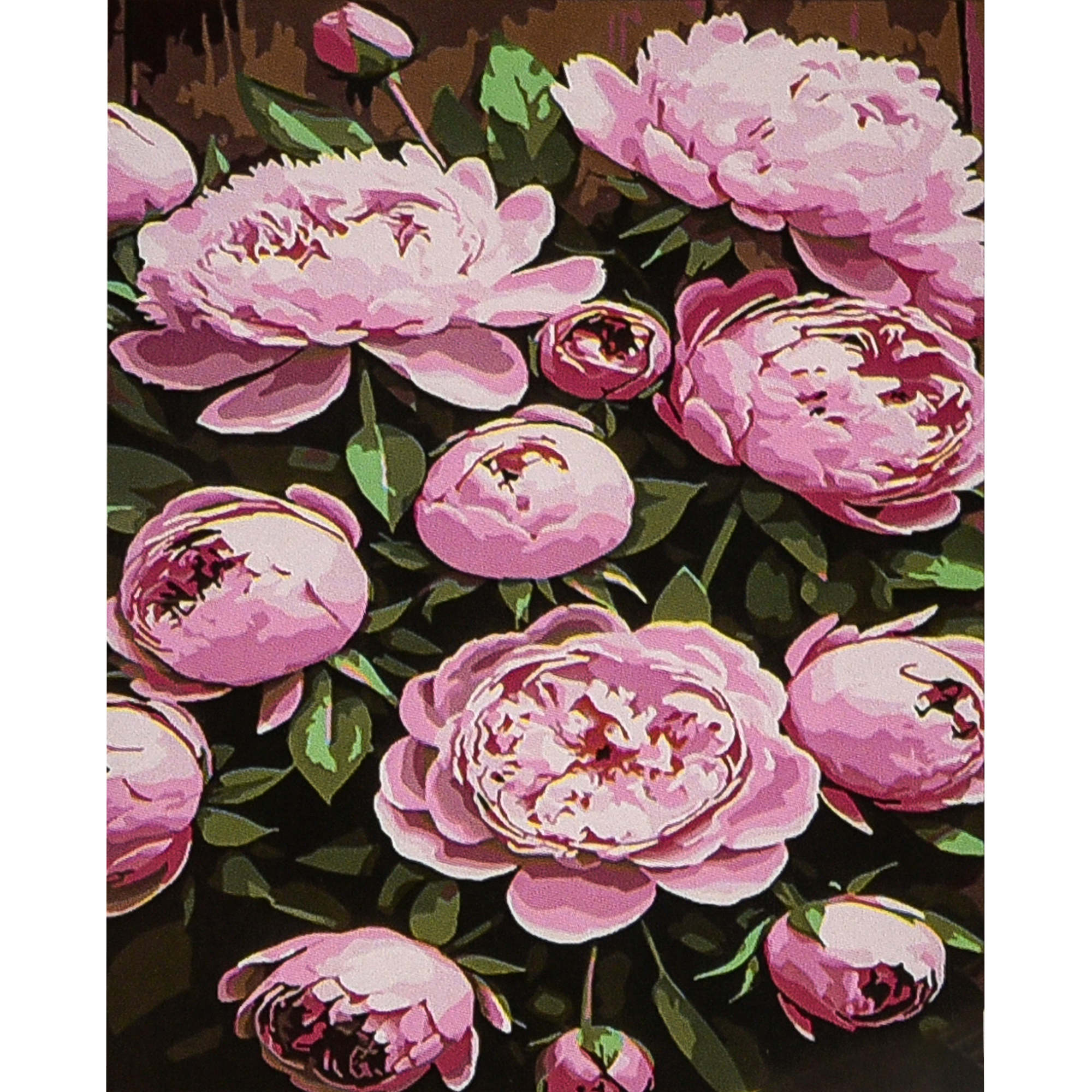 Pink peonies 30x40 cm (SS1196)