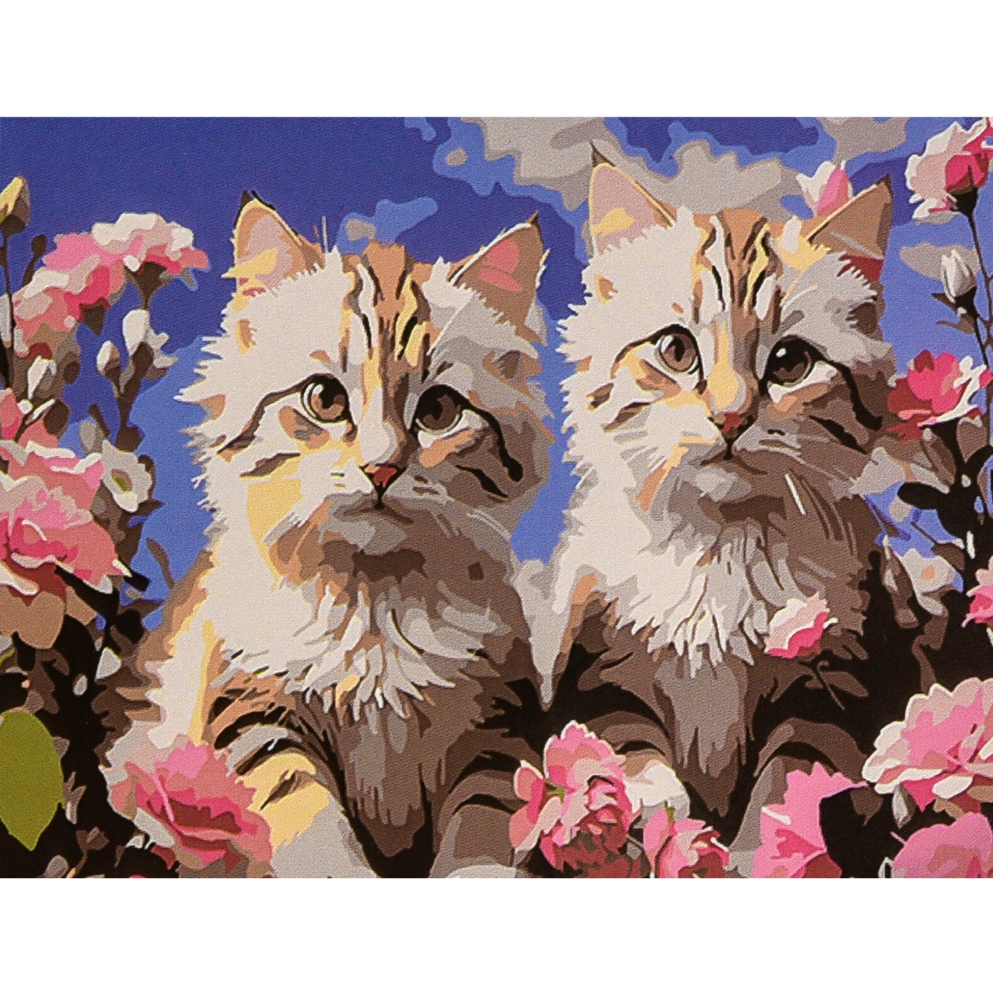 Kitties 30x40 cm (SS1198)