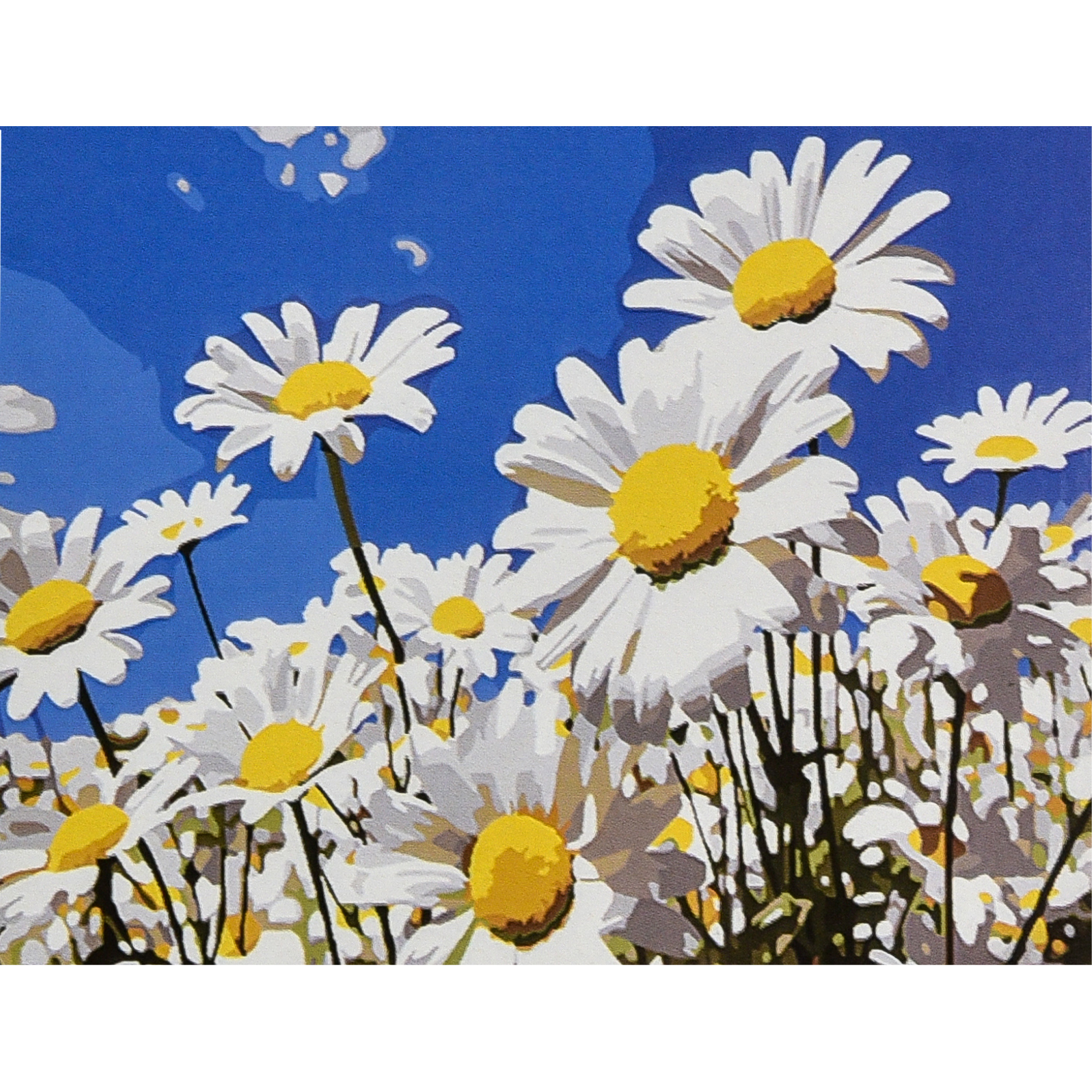 Summer daisies 30x40 cm (SS1200)