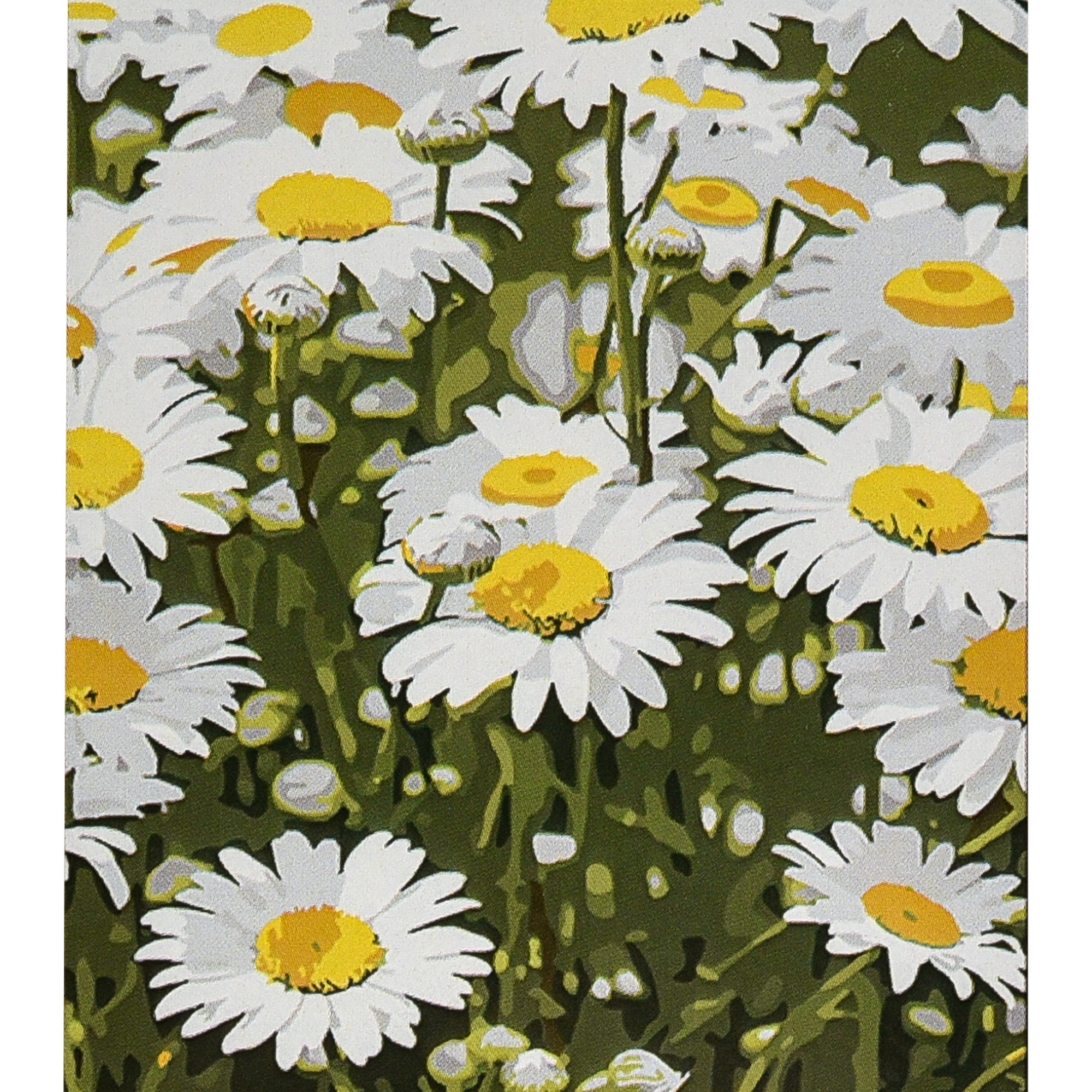 Chamomile field 30x40 cm (SS1201)