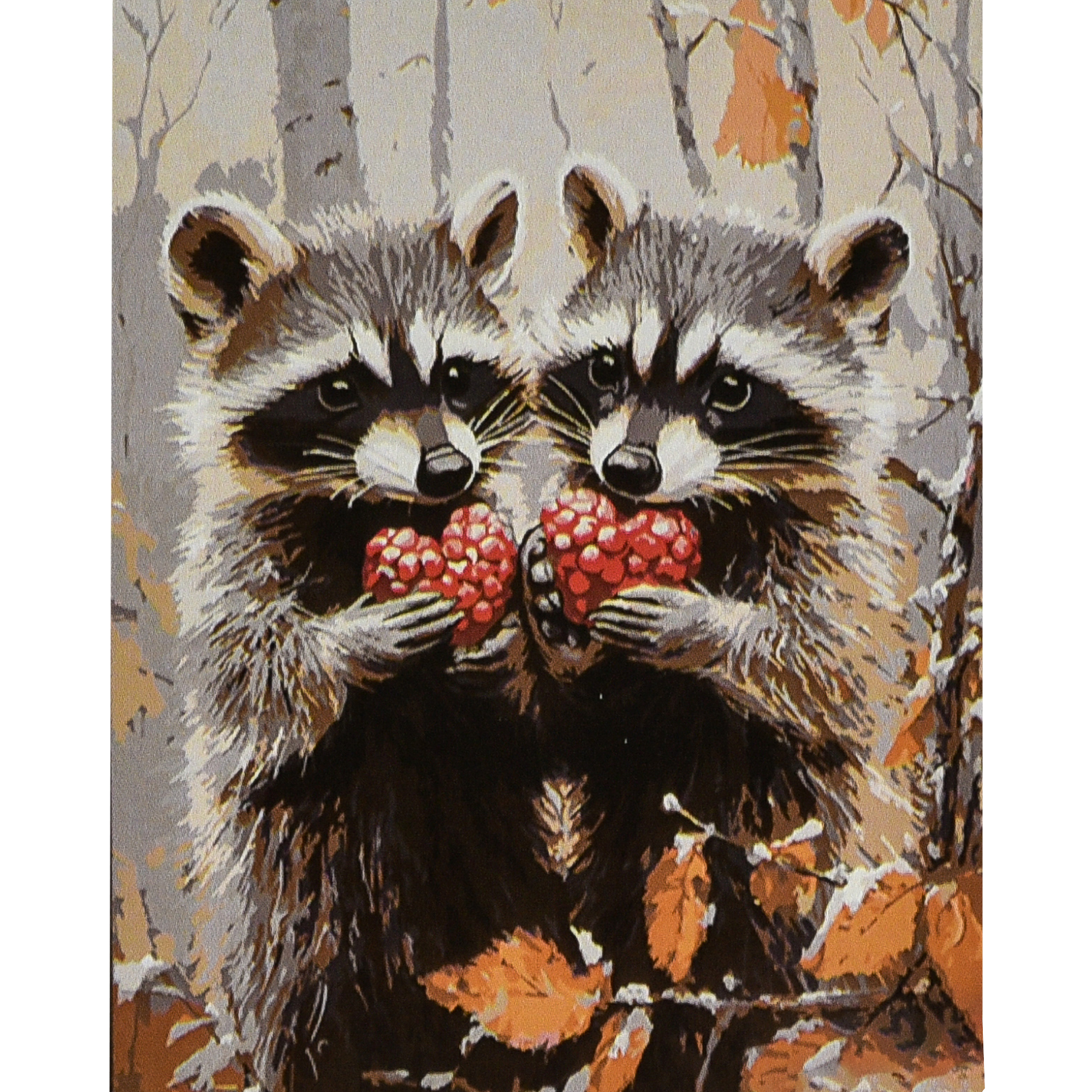 Raccoons size 30x40 cm (SS1219)