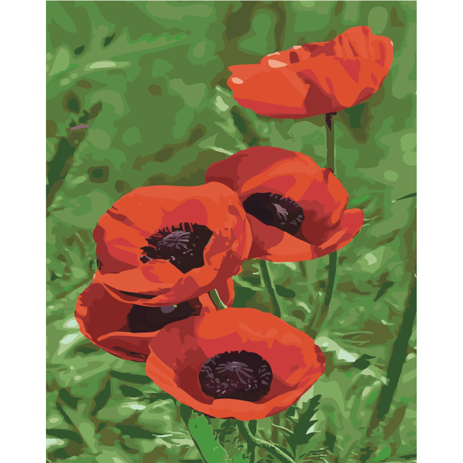Poppies under the sun on a colored background, size 40x50 cm (SY6428)