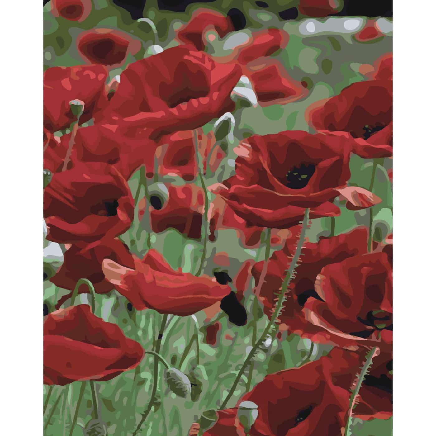 Poppy field on a colored background size 40x50 cm (SY6510)