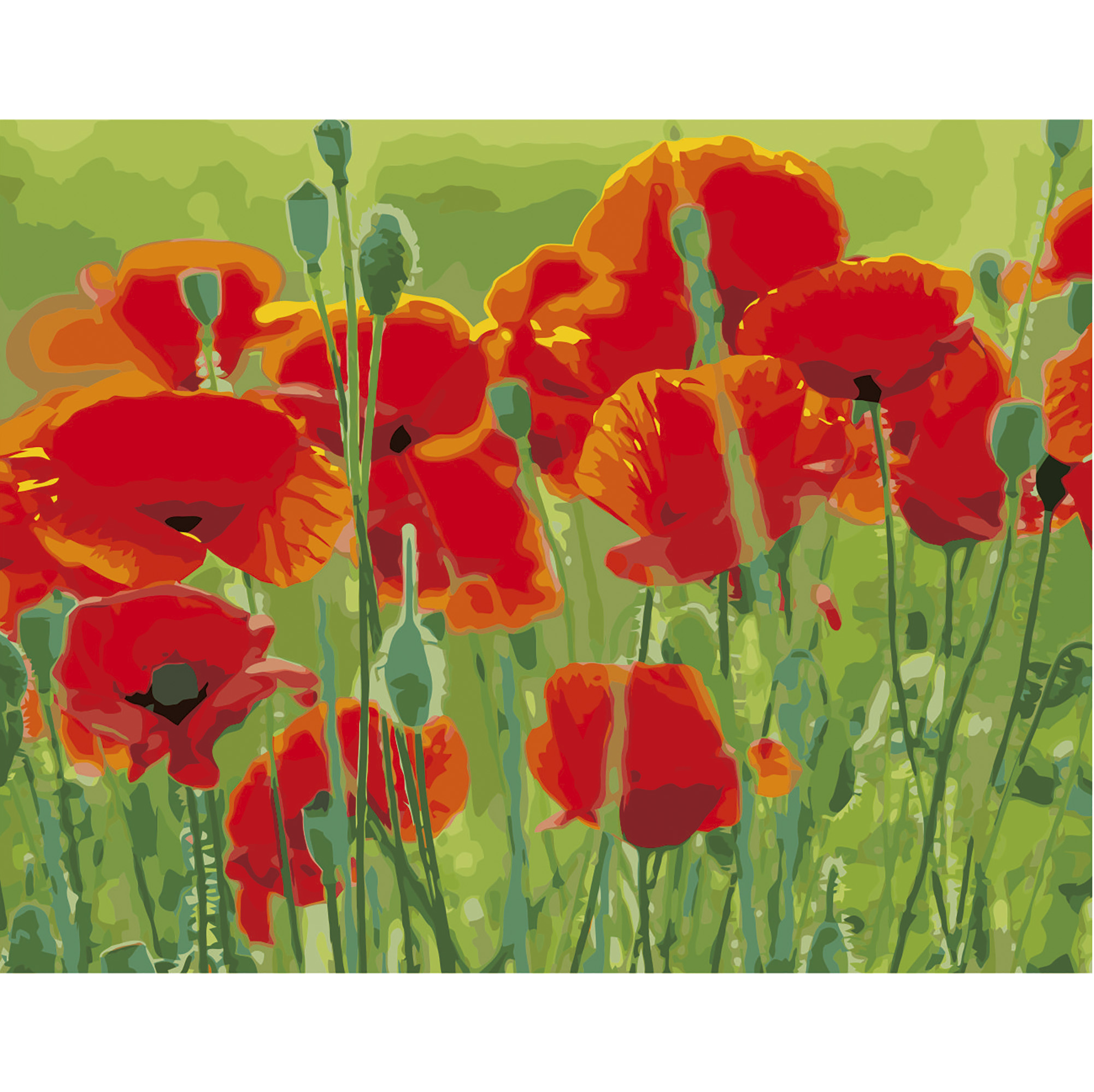 VA-2660 "Poppies in the field", 40x50 cm