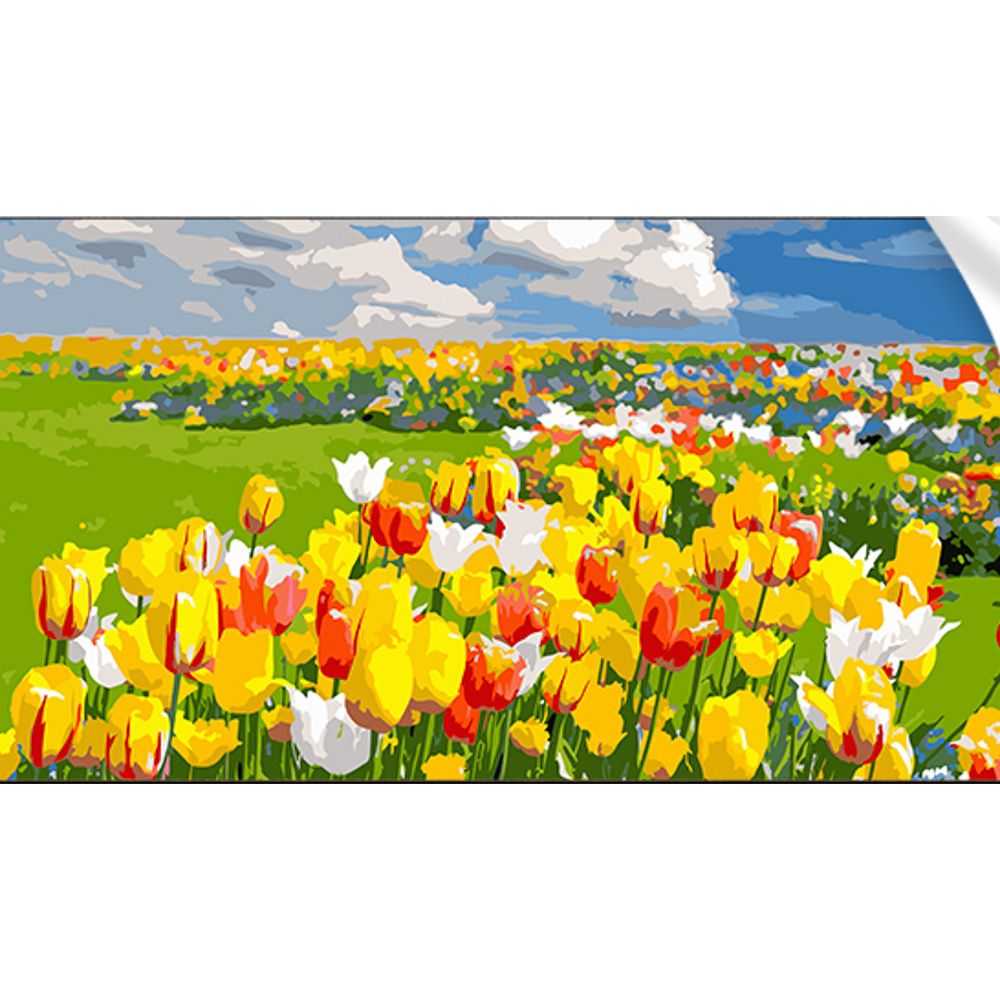 Field of tulips 50x25 cm (WW176)