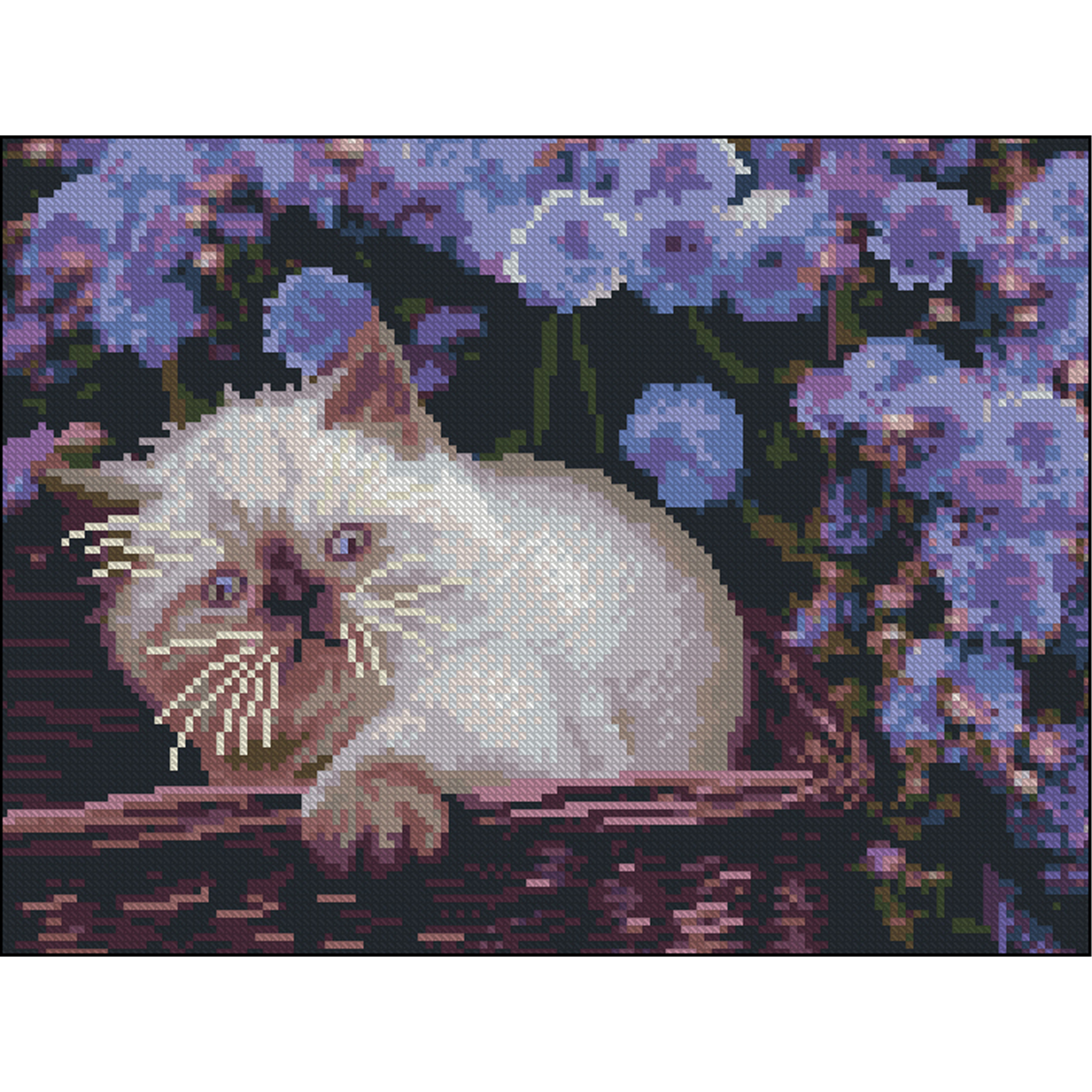 Kitten without a frame size 30x40 cm (ZAV3040-23)